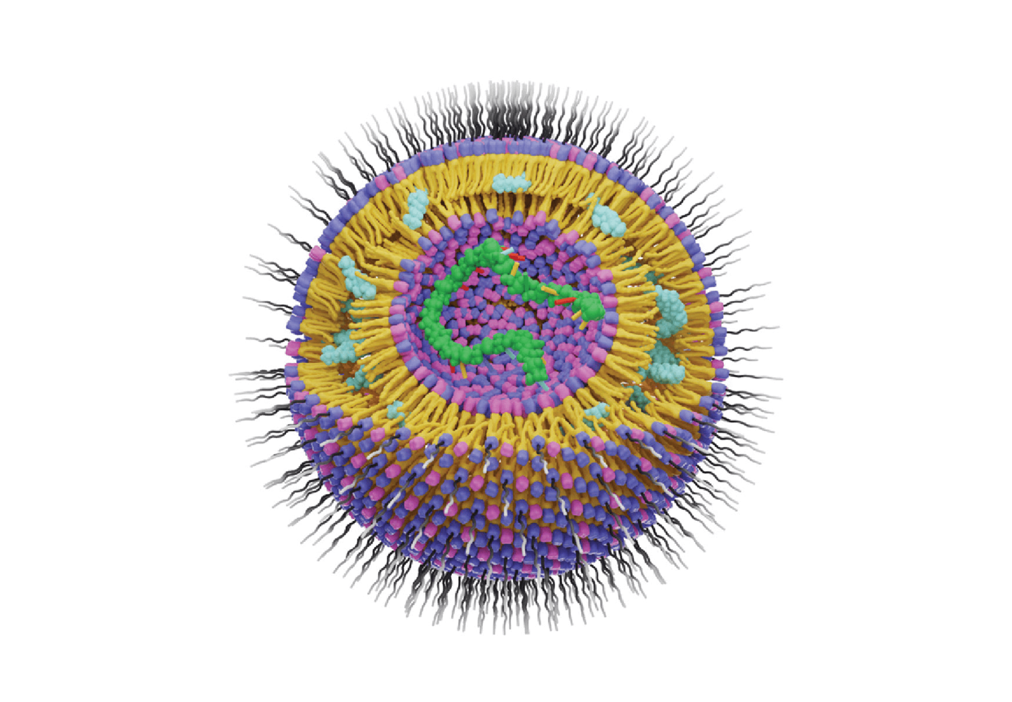 mRNA-LNP Development